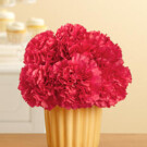 Birthday Flower Cupcake – $29.99