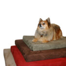 Memory Foam Dog Bed  $35-$40