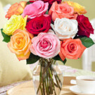 Rainbow Rose Bouquet – $26.98